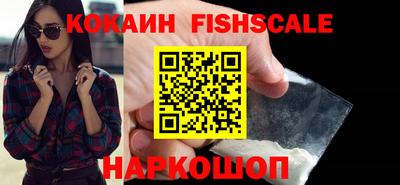 амф Сланцы