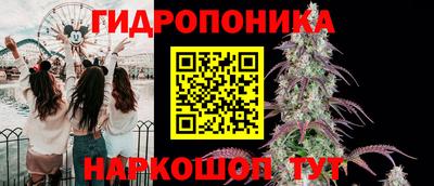 амф Сланцы