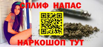 амф Сланцы