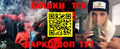 амф Сланцы