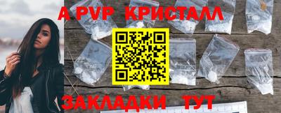 амф Сланцы