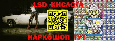 амф Сланцы