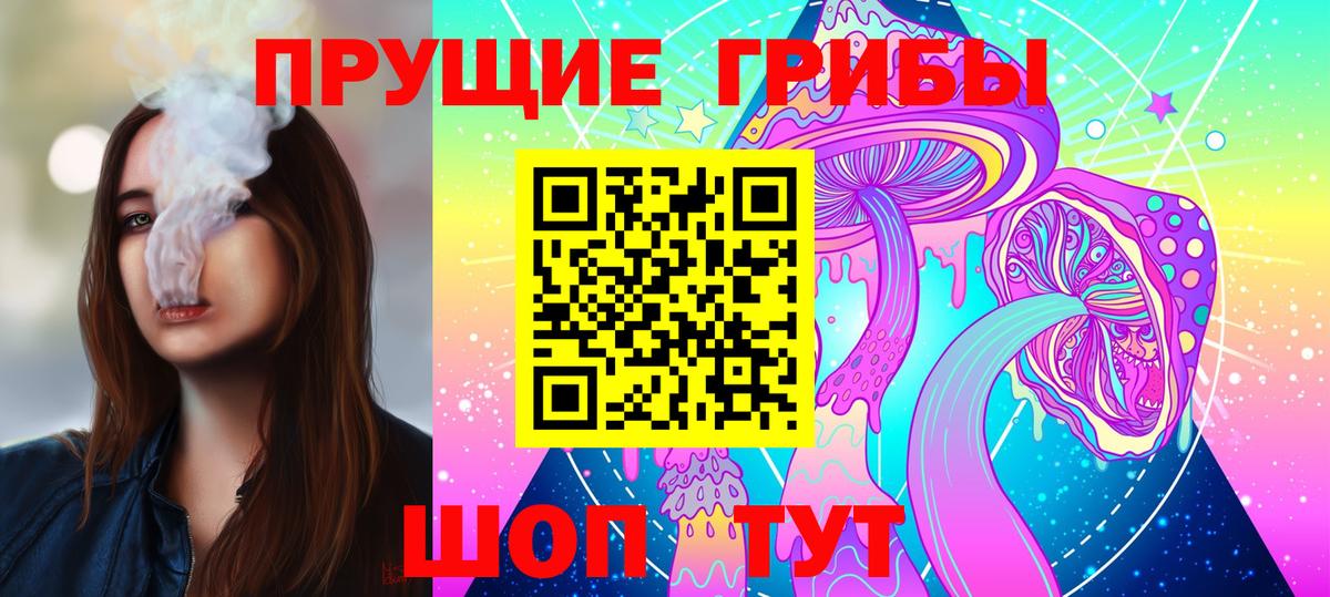 Псилоцибиновые грибы Psilocybine cubensis Новодвинск